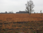 Engbertsdijksvenen